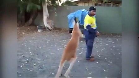 狠狠干爰射在线观看,一场激情燃烧的视觉盛宴  第3张