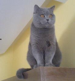 蓝猫娱乐圈吃瓜,揭秘明星幕后吃瓜大揭秘 第2张 蓝猫娱乐圈吃瓜,揭秘明星幕后吃瓜大揭秘 第2张